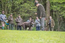 Hundepräsentation 2019